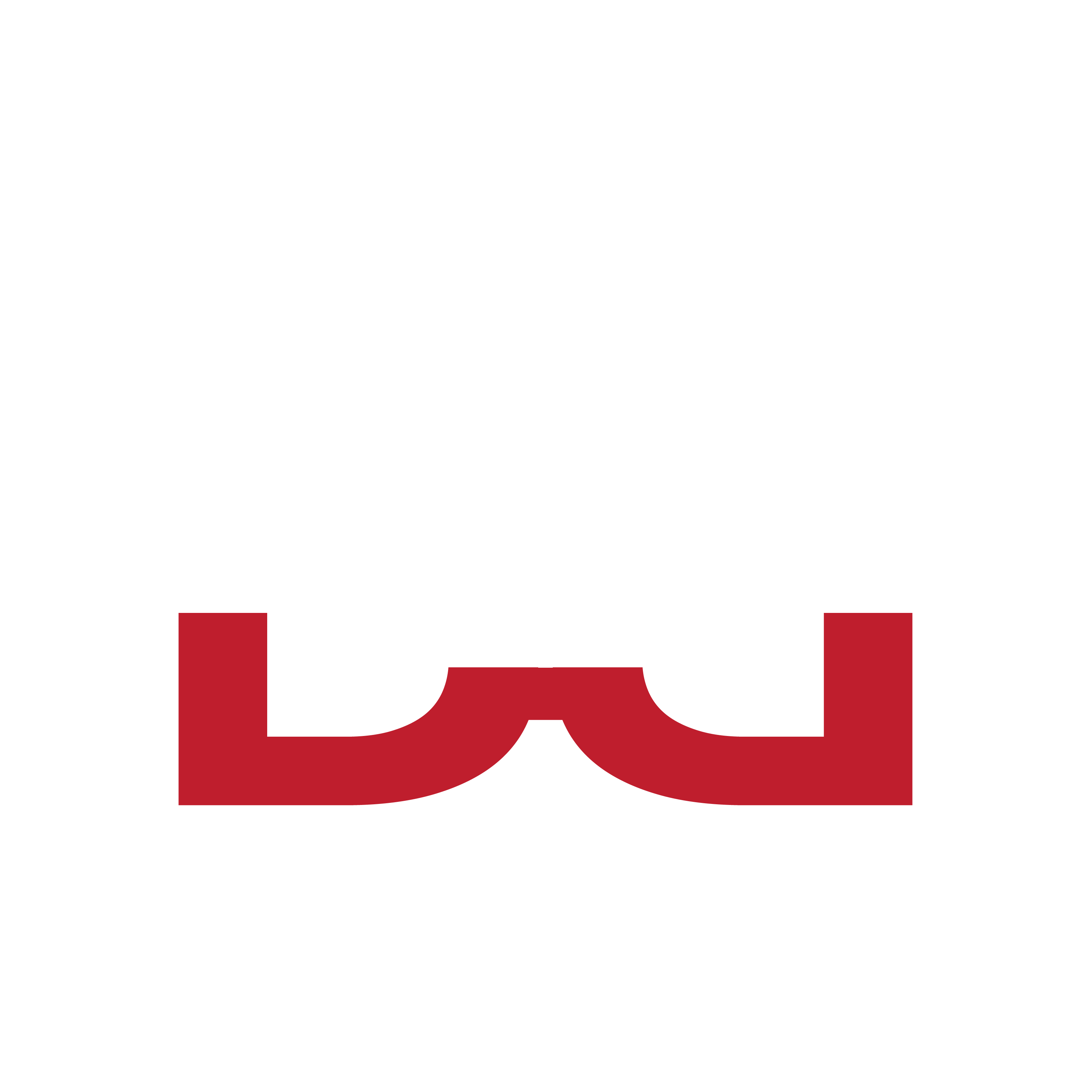 Best of Both Worlds logo