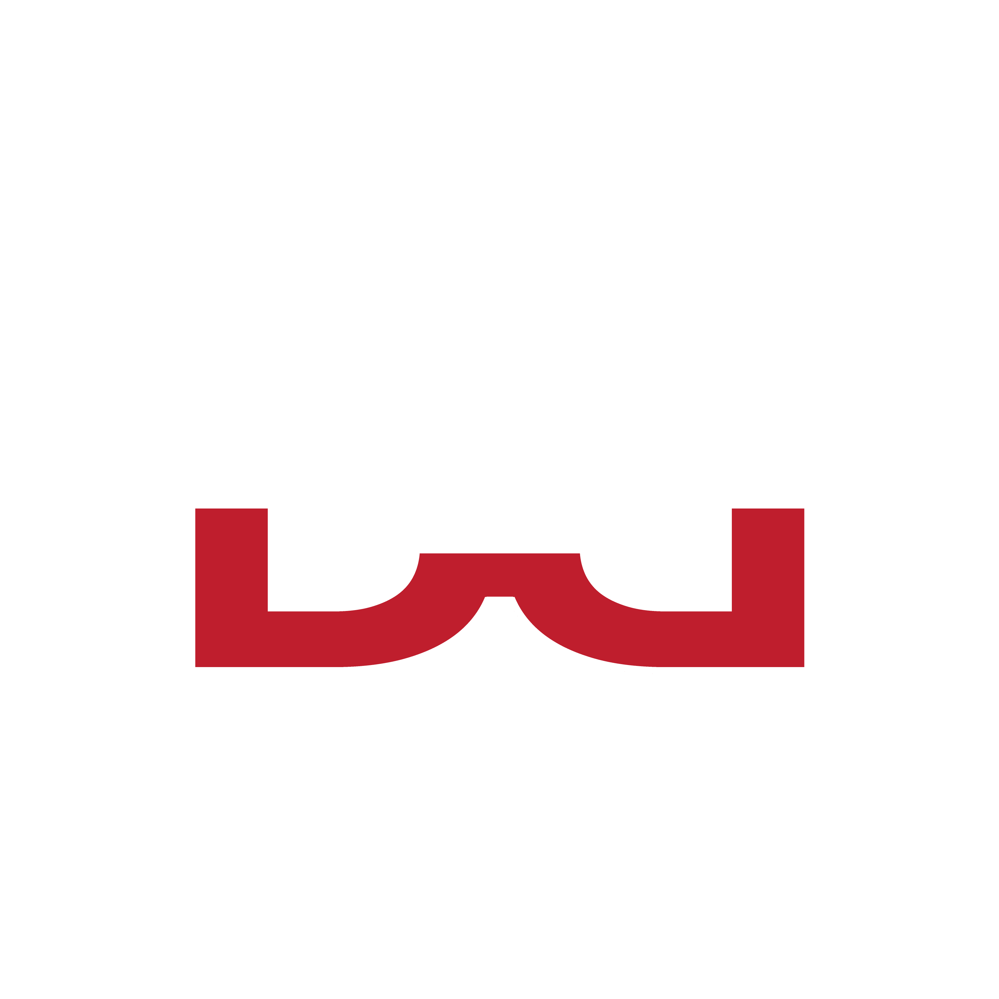 BoBW Logo